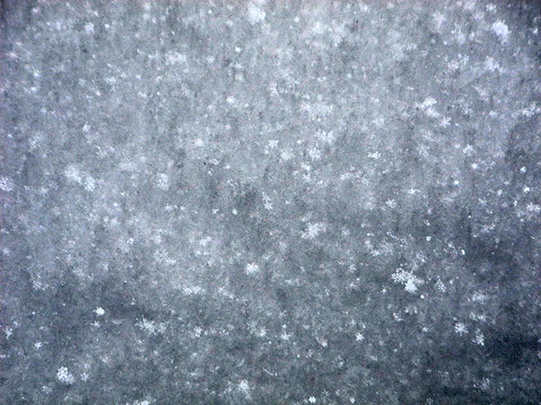 snow_on_the_terrace_2015.jpg