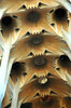 Gaudi_ceiling.jpg