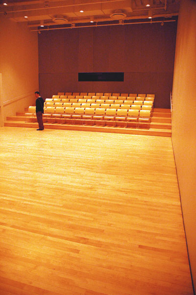 New_Museum_theatre.jpg