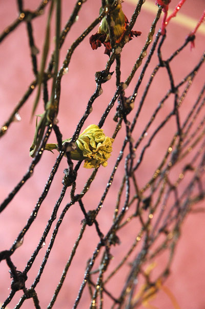 VanDyke_net_flowers.jpg