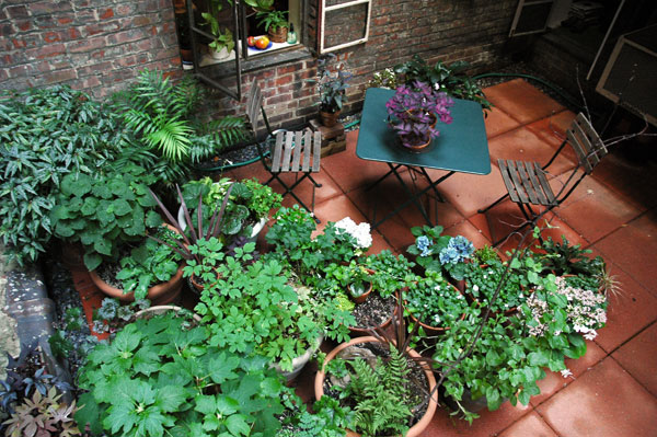 garden_roof_July_2007.jpg