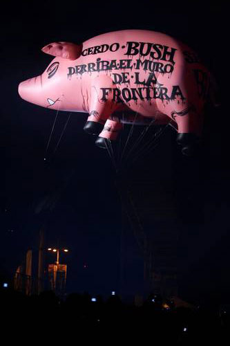 Pink Floyd pig