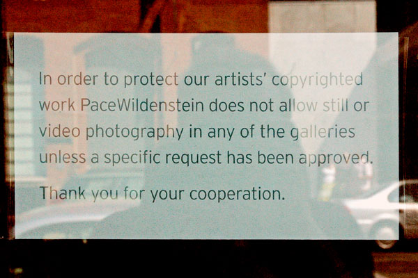 Pace_wildenstein_photography_ban.jpg