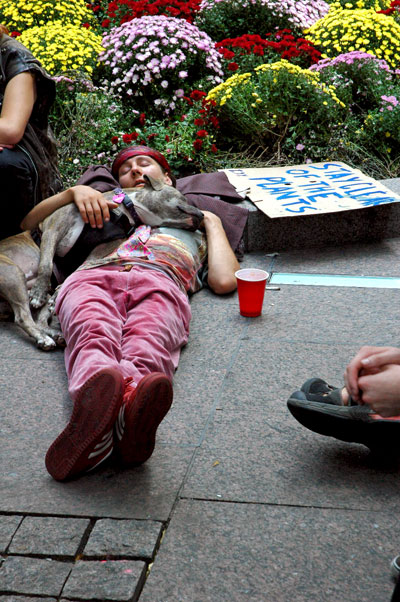 occupywallstreet_stay_clear_of_the_plants.jpg
