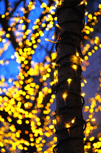 yellow_holiday_lights.jpg