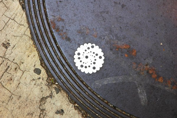 AndersonReedmanholecover.jpg