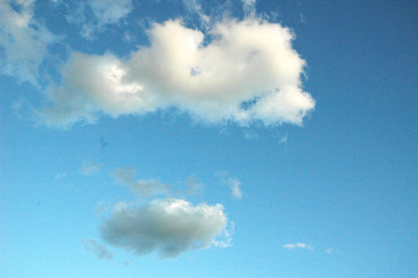 clouds_and_bird.jpg