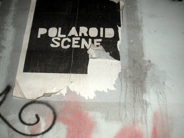 polaroidscene.jpg
